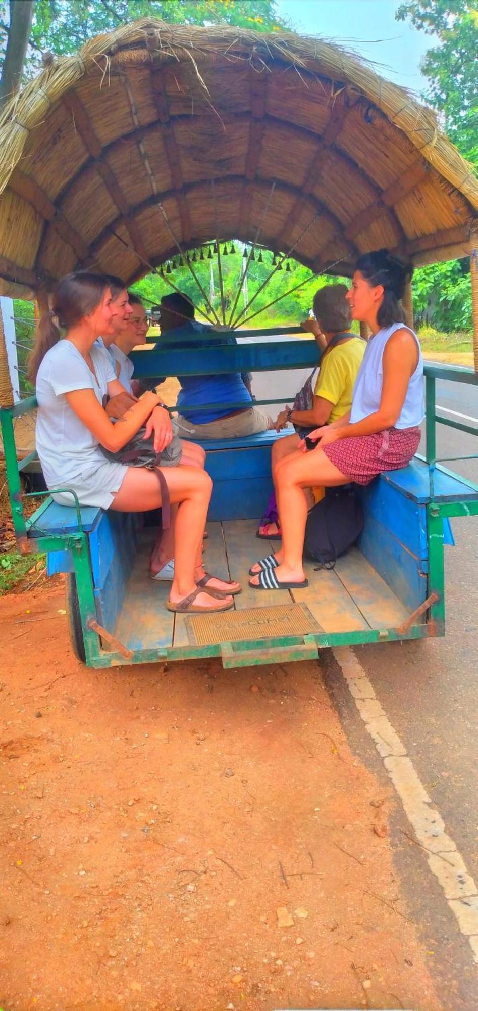 Sigiriya Nature Resort Kültér fotó